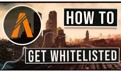 What is whitelist in GTA 5 RP?