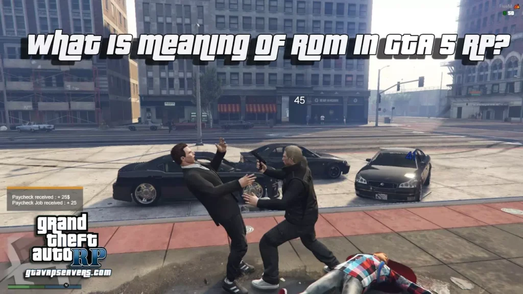 What is meaning of RDM in GTA 5 RP?